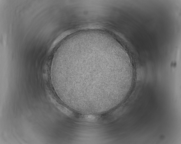 X0000114071266200911161144