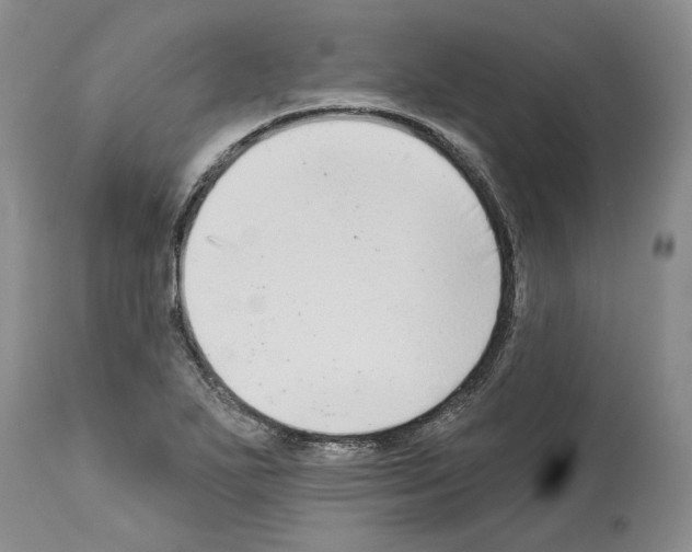 X0000114071271200911161144