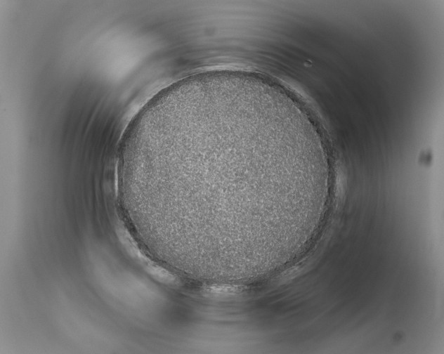 X0000114071274200911161144