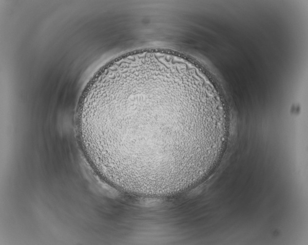 X0000114071278200911161144