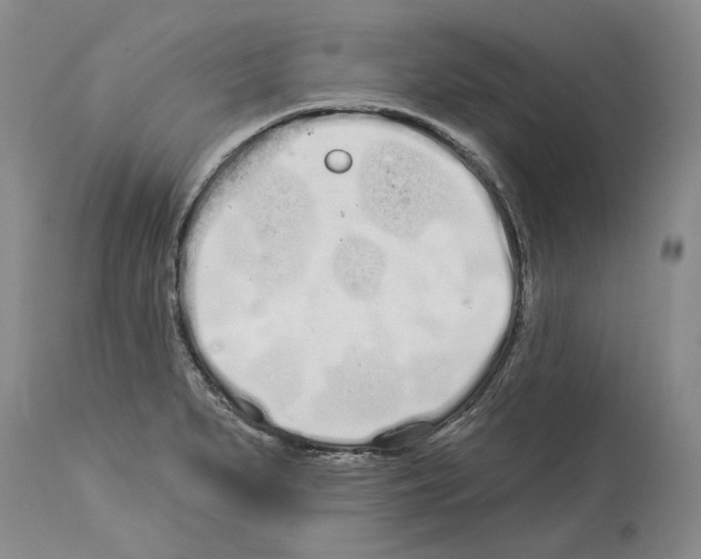 X0000114071279200911161143