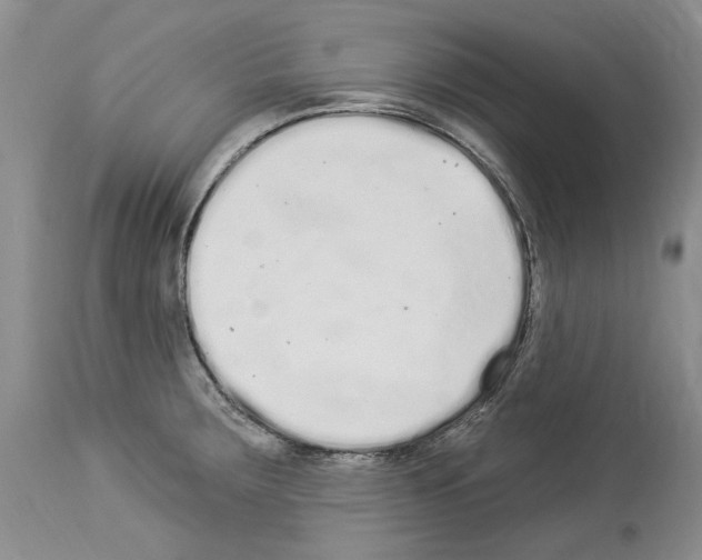 X0000114071283200911161143