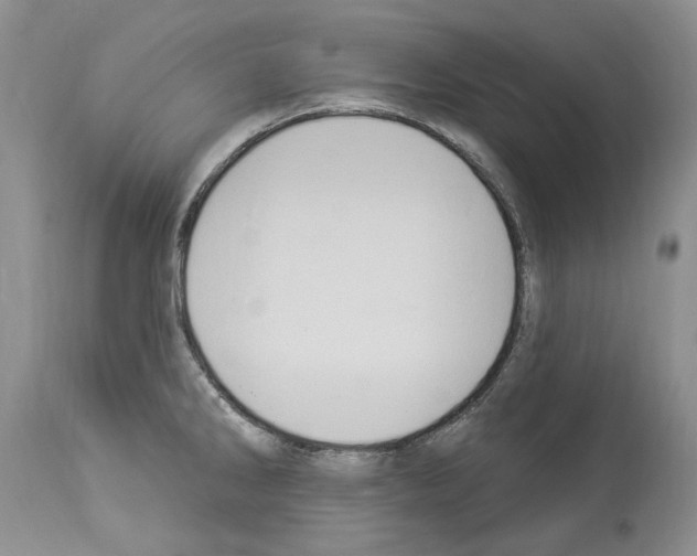 X0000114071286200911161143