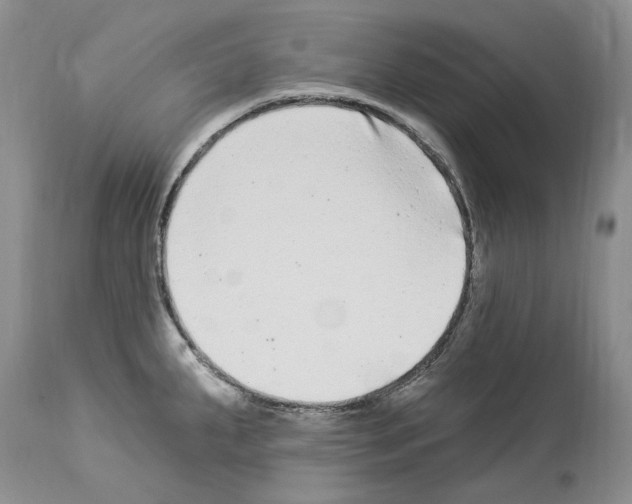 X0000114071287200911161143