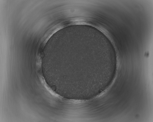 X0000114071289200911161143