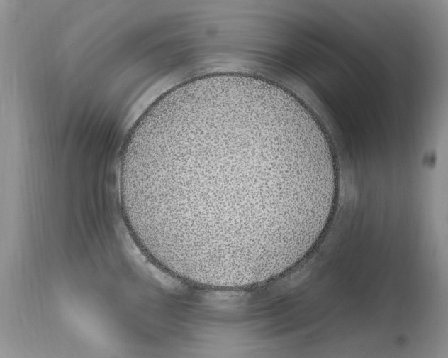 X0000114071290200911161143