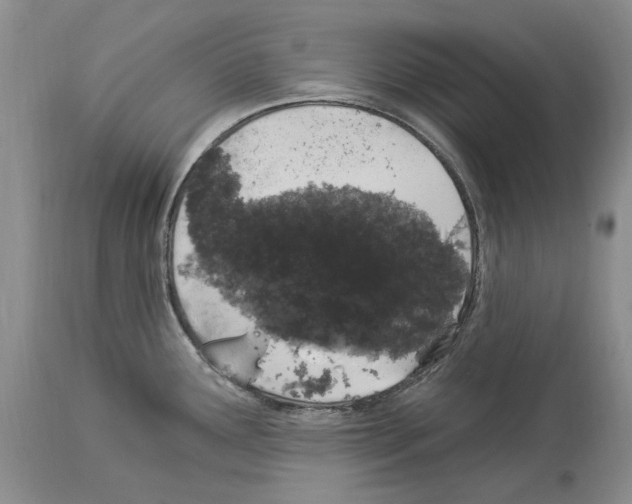 X0000114071291200911161143