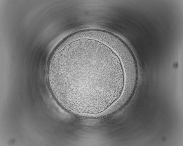 X0000114071294200911161143