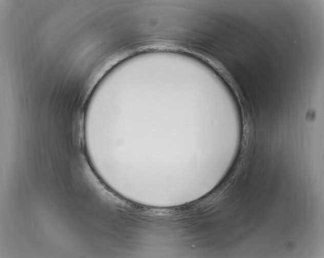 X0000114071295200911161143