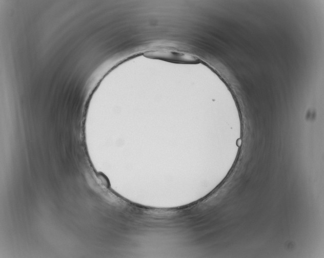 X0000114071296200911161143