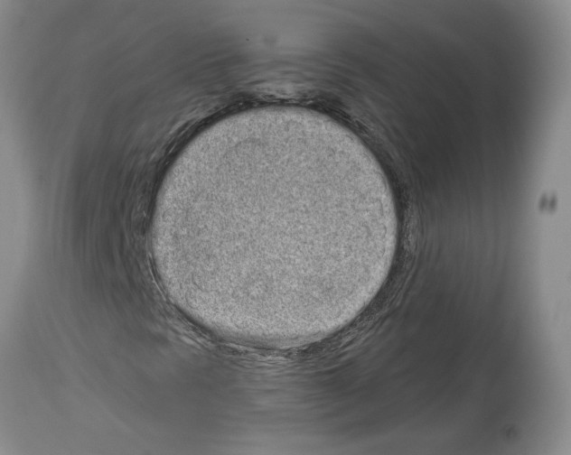 X0000114071297200911161142