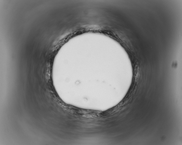 X0000114071301200911161142