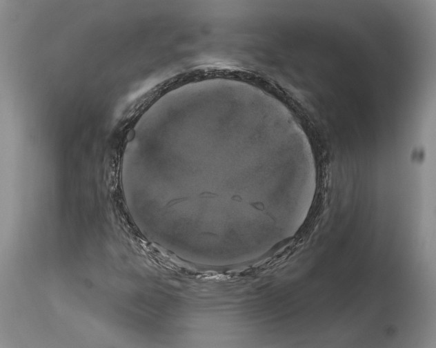 X0000114071303200911161143