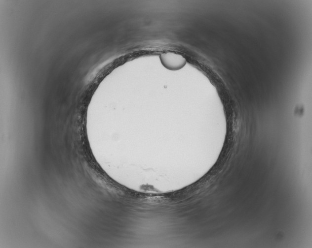 X0000114071304200911161143