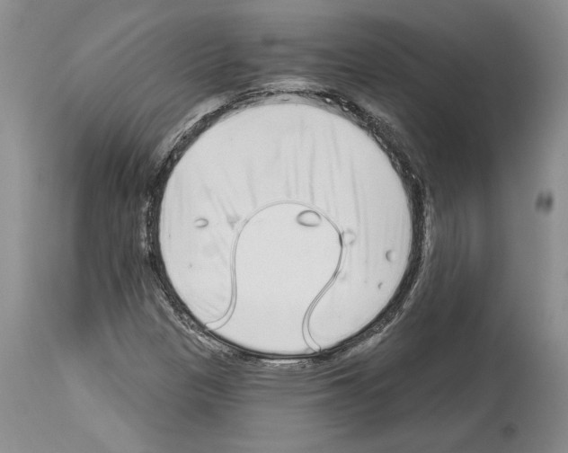 X0000114071305200911161143