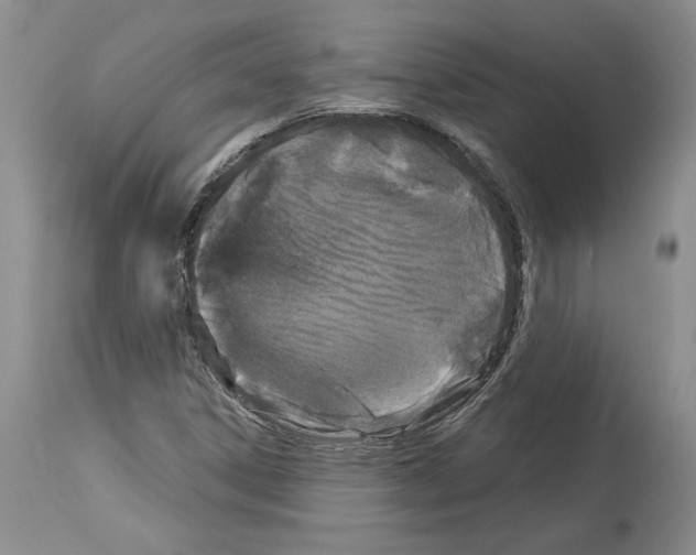 X0000114071306200911161143