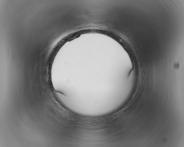 X0000114071310200911161143