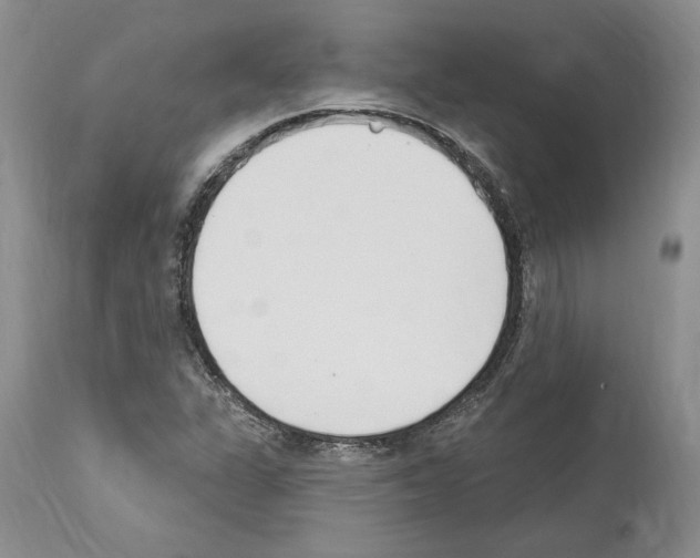 X0000114071311200911161143