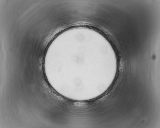 X0000114071313200911161143