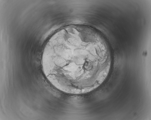 X0000114071314200911161143