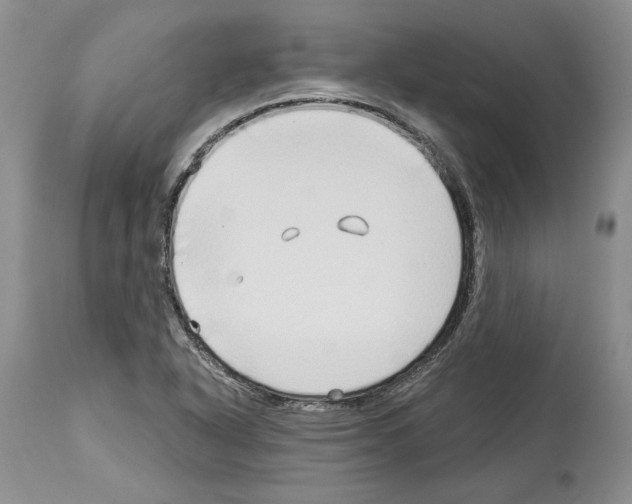 X0000114071318200911161143