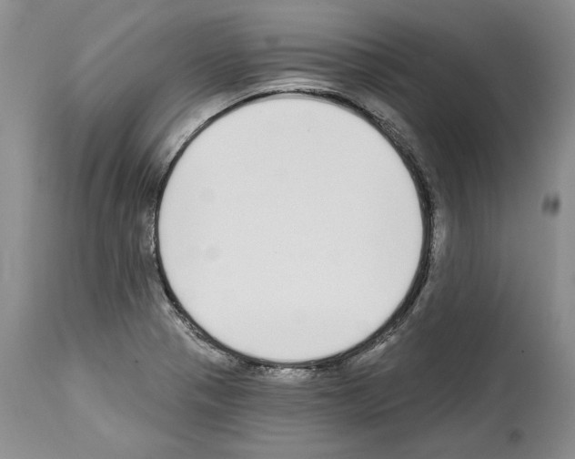 X0000114071321200911161143