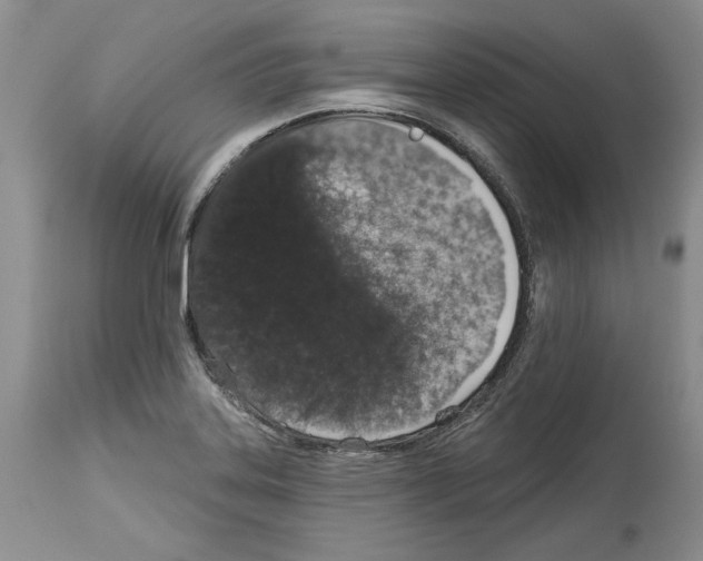 X0000114071323200911161143