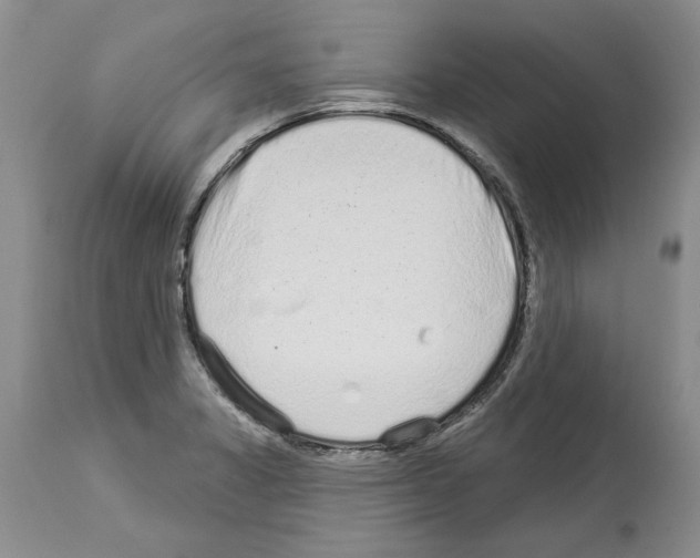 X0000114071325200911161143