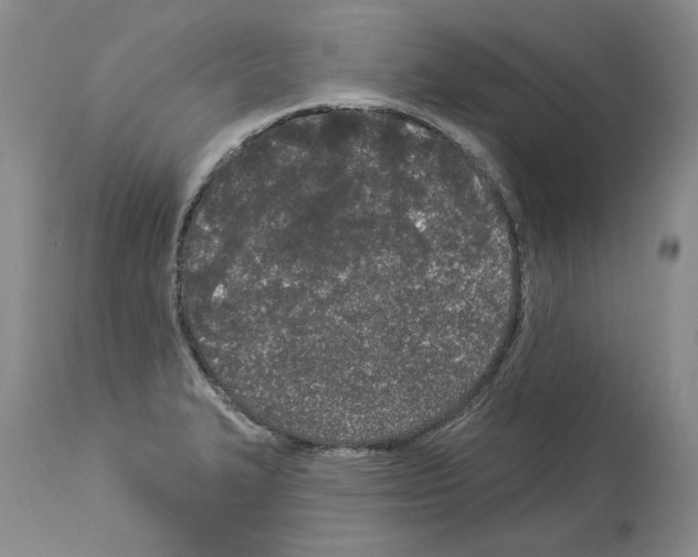 X0000114071327200911161143