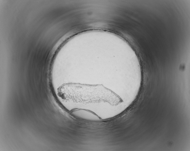 X0000114071331200911161143