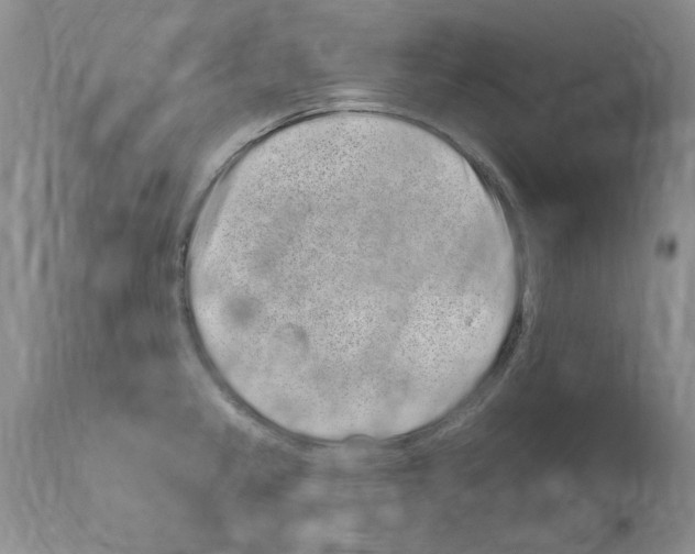 X0000114071333200911161143