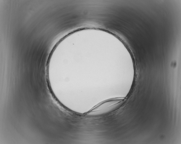 X0000114071335200911161143