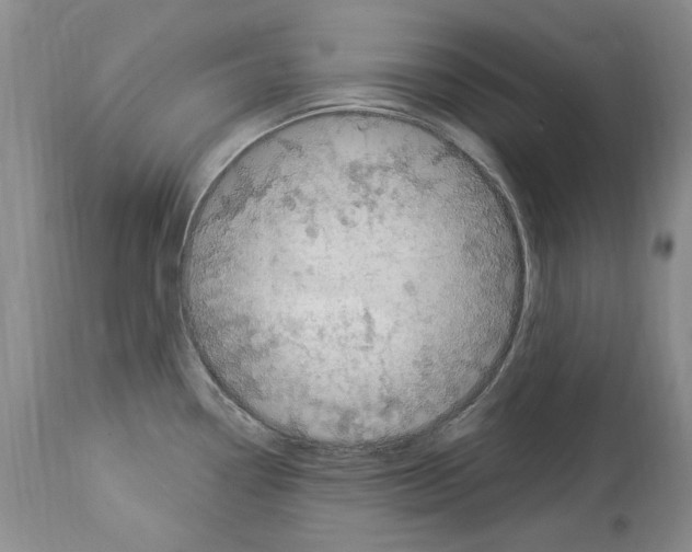 X0000114071338200911161143