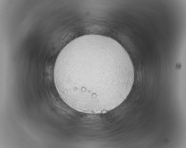 X0000114071346200911161142