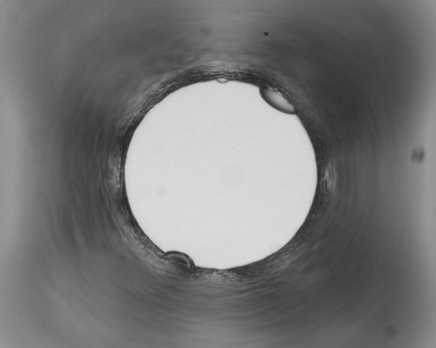 X0000114071348200911161142