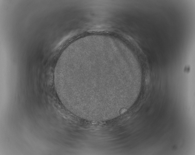 X0000114071350200911161142