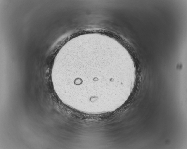 X0000114071351200911161142