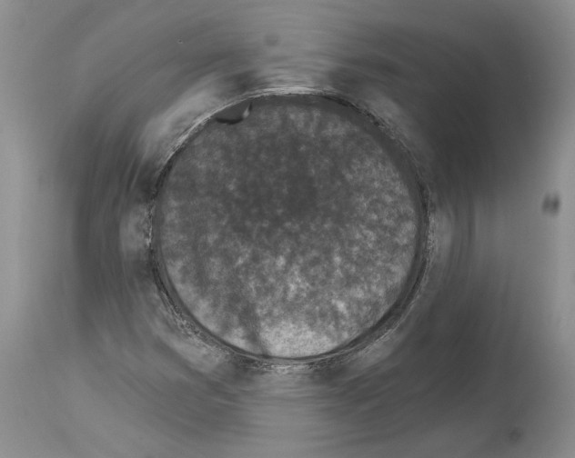 X0000114071353200911161142