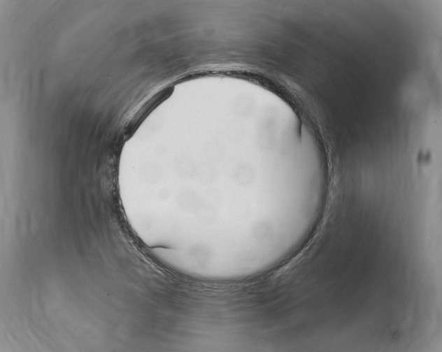 X0000114071361200911161142