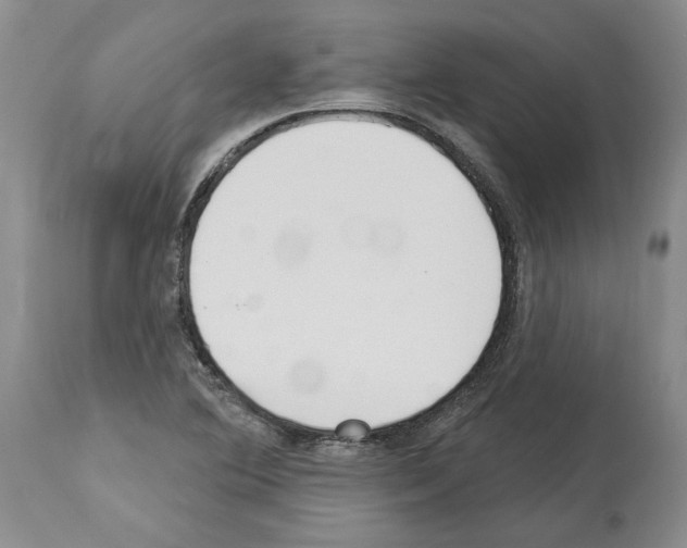 X0000114071364200911161142