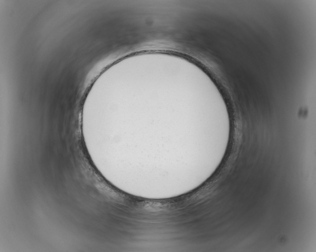 X0000114071366200911161142