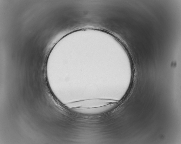 X0000114071367200911161142