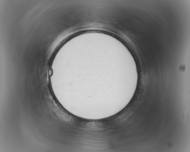 X0000114071368200911161142