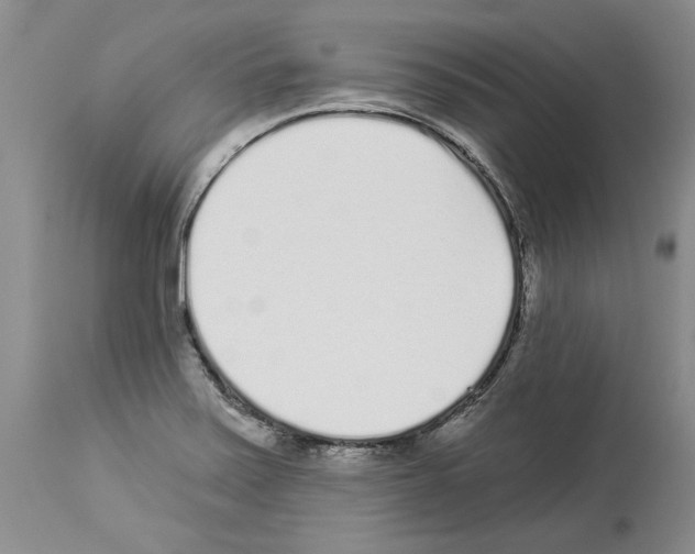 X0000114071371200911161142