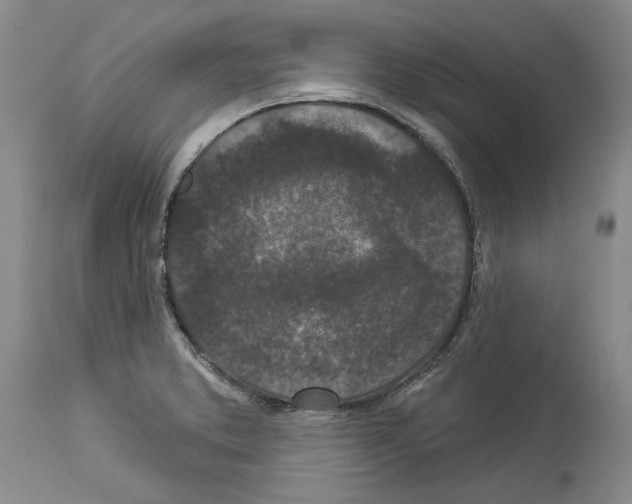 X0000114071373200911161142