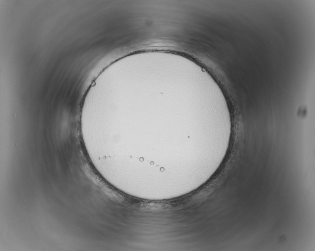 X0000114071374200911161142