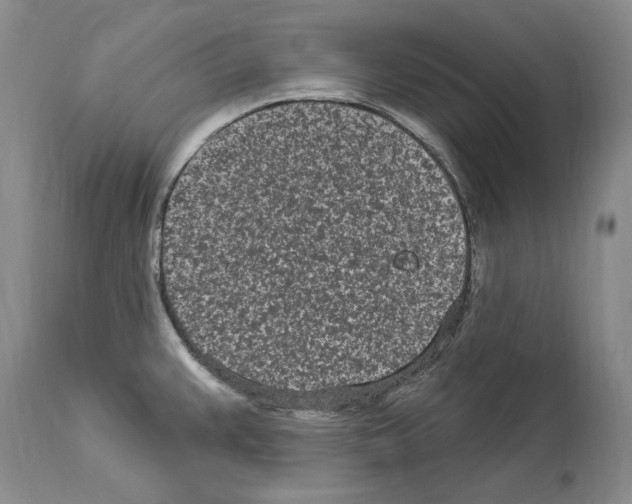 X0000114071383200911161142