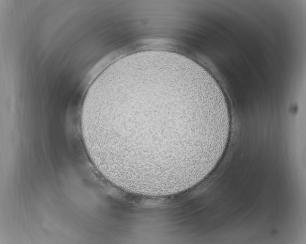 X0000114071386200911161142