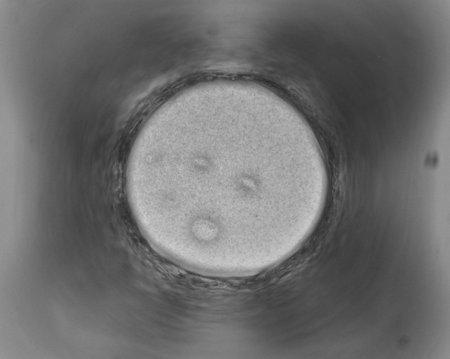 X0000114071398200911161141