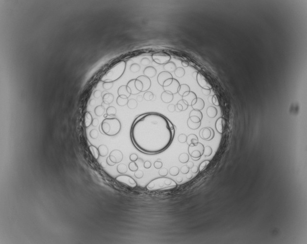 X0000114071400200911161141